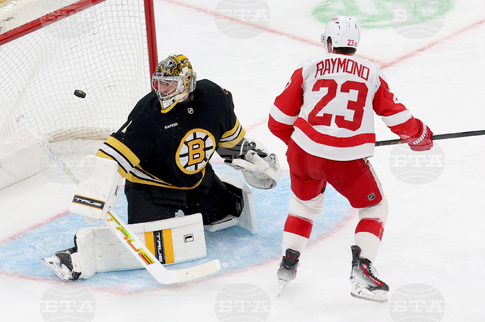 Red Wings Bruins Hockey