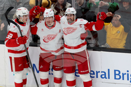 Red Wings Bruins Hockey