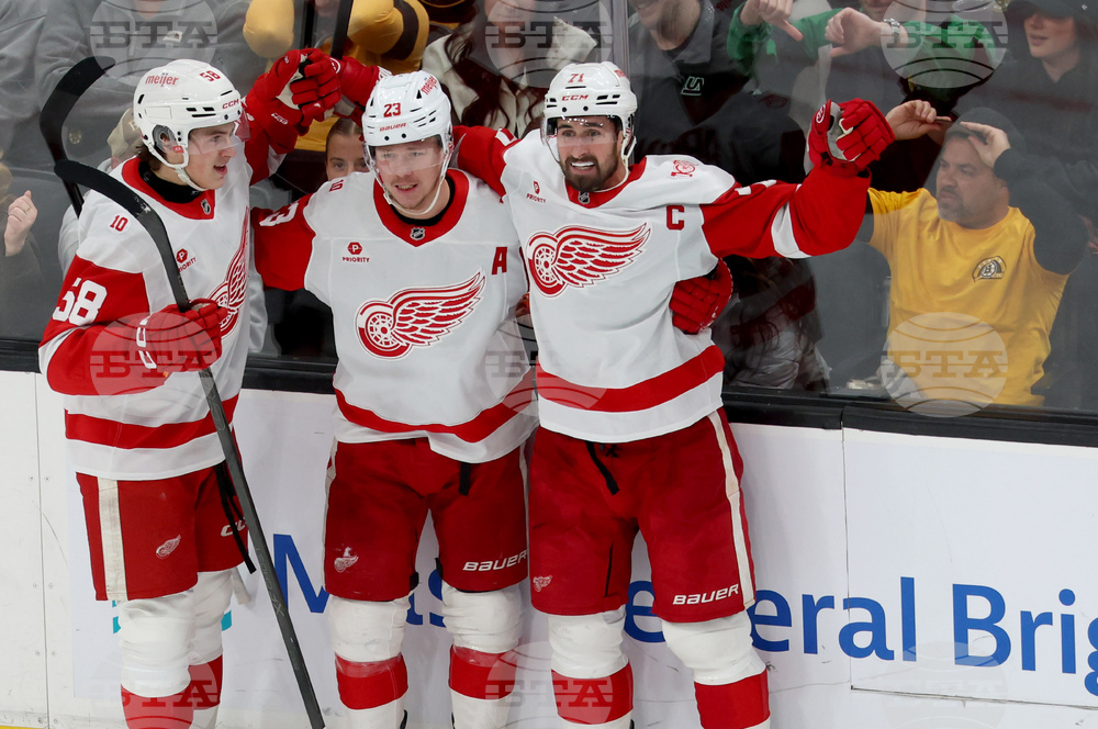 Red Wings Bruins Hockey