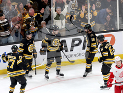 Red Wings Bruins Hockey