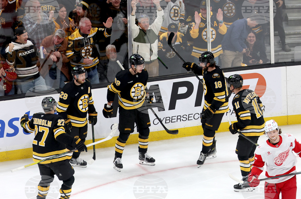 Red Wings Bruins Hockey