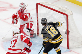 Red Wings Bruins Hockey