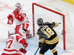 Red Wings Bruins Hockey