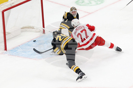 Red Wings Bruins Hockey