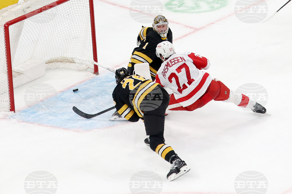 Red Wings Bruins Hockey