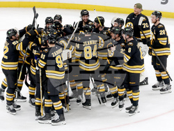 Red Wings Bruins Hockey