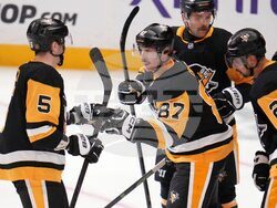 Maple Leafs Penguins Hockey