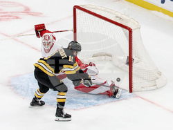 Red Wings Bruins Hockey