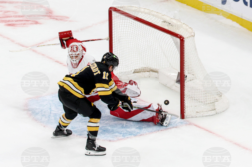 Red Wings Bruins Hockey