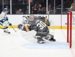 Sharks Golden Knights Hockey