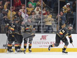 Sharks Golden Knights Hockey