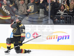 Sharks Golden Knights Hockey