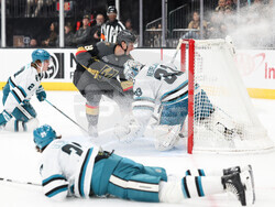 Sharks Golden Knights Hockey