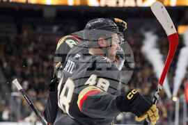 Sharks Golden Knights Hockey