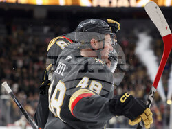 Sharks Golden Knights Hockey