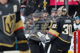 Sharks Golden Knights Hockey