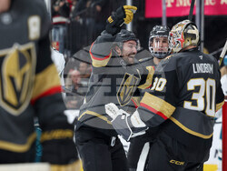 Sharks Golden Knights Hockey