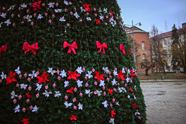 Столична община: Светлините на елхата на София светват на 2 декември