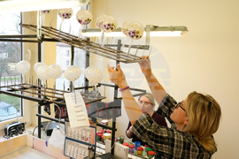 Poland Christmas Baubles