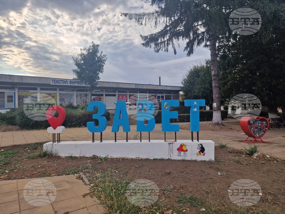 Повече от 520 безстопанствени кучета са заловени и преминали през ветеринарномедицински процедури в община Завет за периода 2011 - 2025 г.