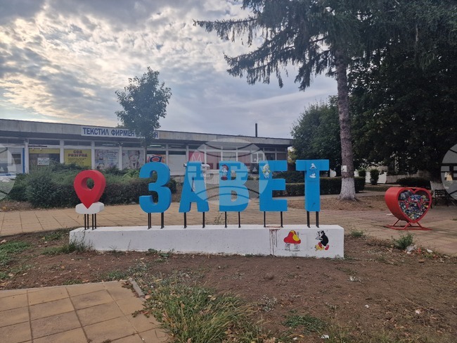 Повече от 520 безстопанствени кучета са заловени и преминали през ветеринарномедицински процедури в община Завет за периода 2011 - 2025 г.