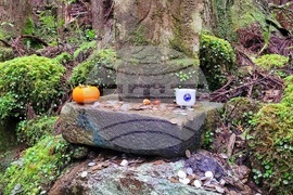 Япония - Начикатсура - Кумано кодо - туризъм