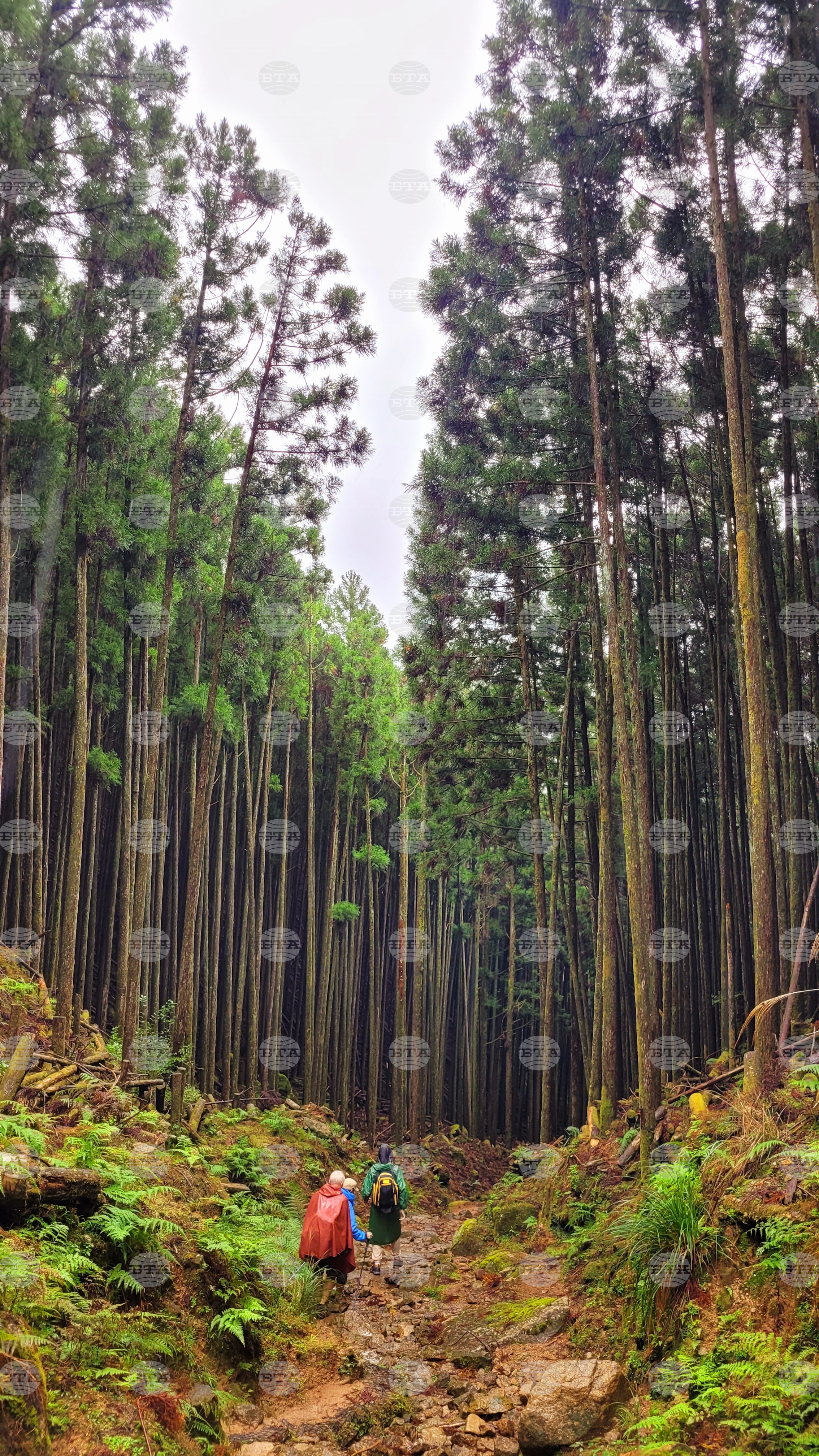 Япония - Начикатсура - Кумано кодо - туризъм