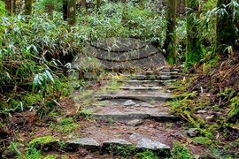 Япония - Начикатсура - Кумано кодо - туризъм