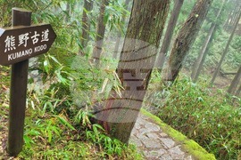 Япония - Начикатсура - Кумано кодо - туризъм