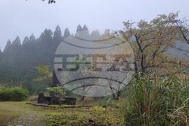 Япония - Начикатсура - Кумано кодо - туризъм