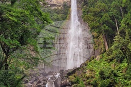 Япония - Начикатсура - Кумано кодо - туризъм