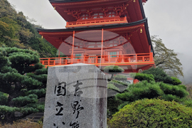 Япония - Начикатсура - Кумано кодо - туризъм