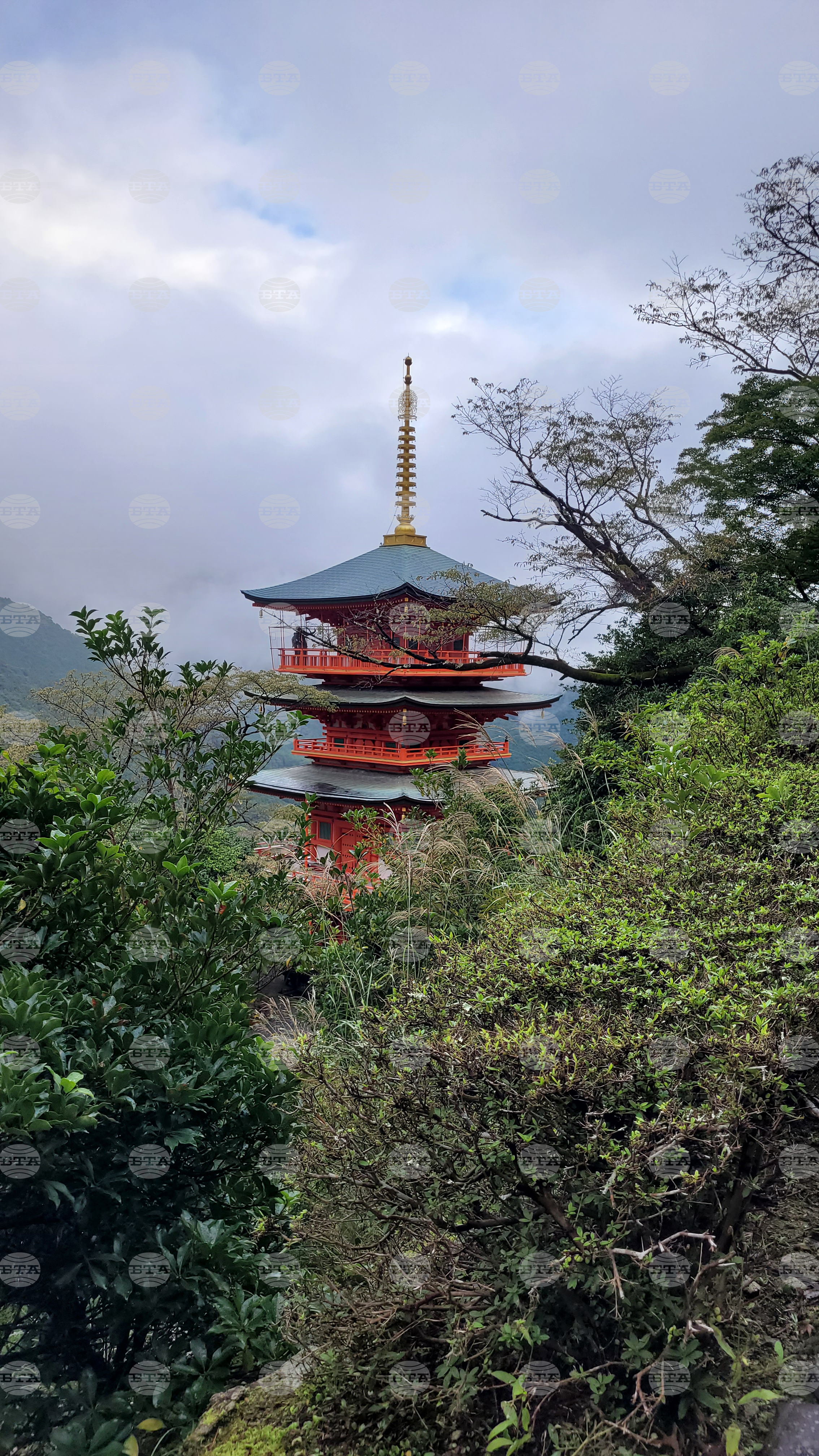 Япония - Начикатсура - Кумано кодо - туризъм