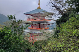 Япония - Начикатсура - Кумано кодо - туризъм