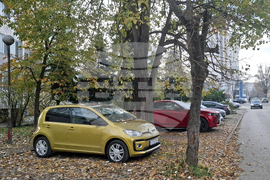 Столица - цветни автомобили - ежедневие