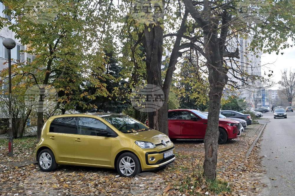 Столица - цветни автомобили - ежедневие