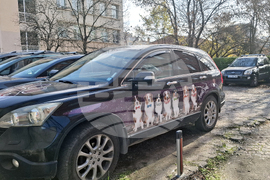 Столица - цветни автомобили - ежедневие