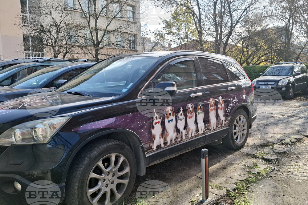 Столица - цветни автомобили - ежедневие