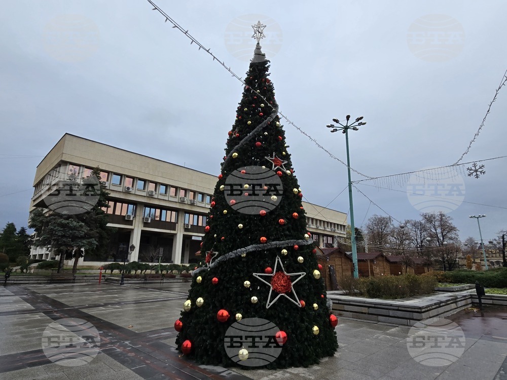 На 1-ви декември ще грейнат светлините на коледната елха във Видин