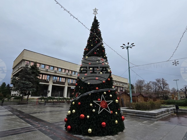 На 1-ви декември ще грейнат светлините на коледната елха във Видин