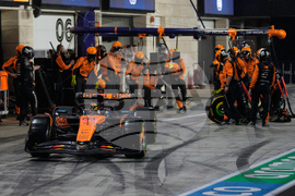 Qatar F1 GP Auto Racing