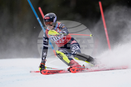 United States World Cup Slalom Skiing