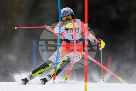 United States World Cup Slalom Skiing