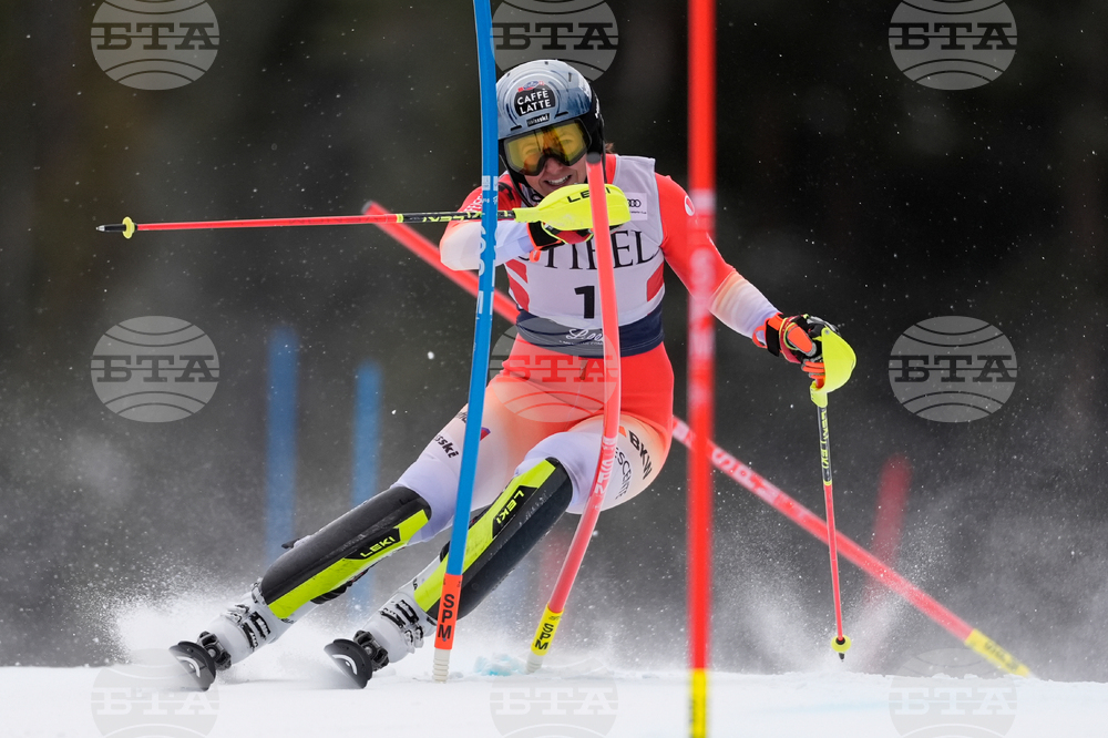 United States World Cup Slalom Skiing