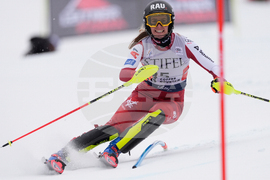 United States World Cup Slalom Skiing