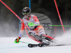 United States World Cup Slalom Skiing