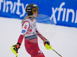 United States World Cup Slalom Skiing