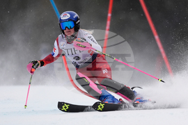 United States World Cup Slalom Skiing