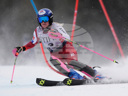 United States World Cup Slalom Skiing