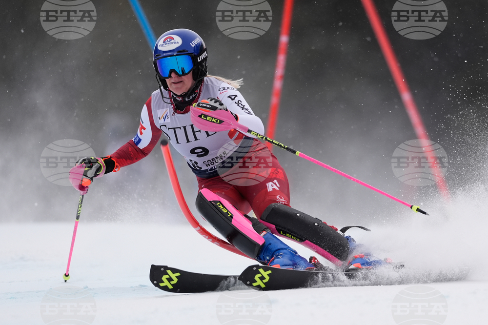United States World Cup Slalom Skiing